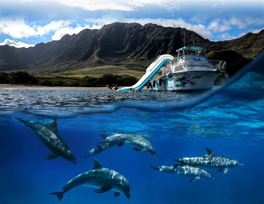 Oahu: Dolphin Watching & Turtle Snorkeling with Waterslide - Watching spinner dolphins from the boat