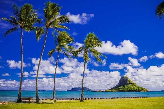 Oahu: Grand Tour Around Island 16 Locations plus Snorkeling - The Bus, Pickup, and Pace