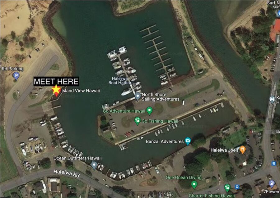 Oahu: North Shore Cageless Shark Snorkeling Tour - Is $166 a Fair Price?