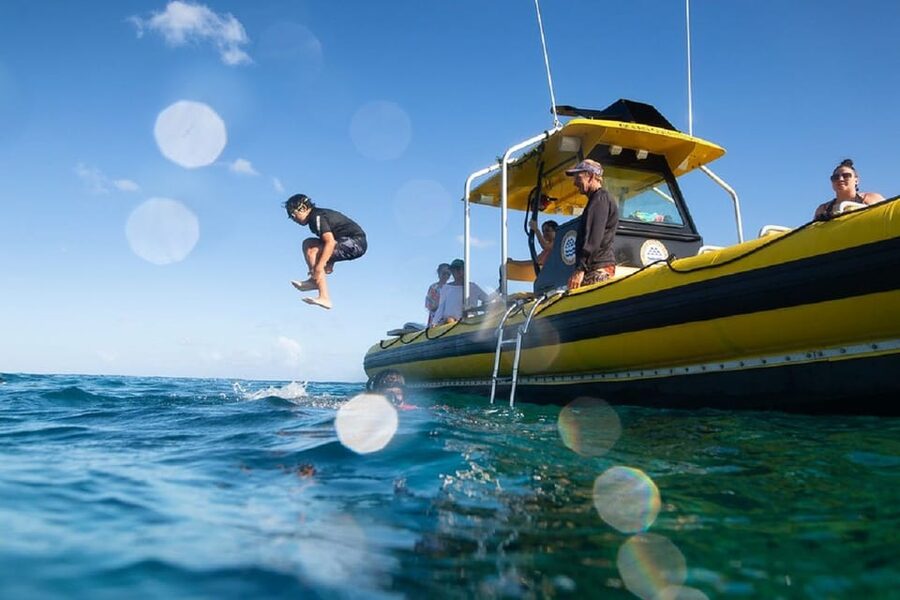 Oahu: North Shore Snorkeling Tour from Haleiwa - Snorkeling away from the busiest beaches