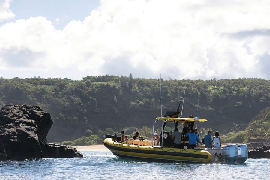Oahu: North Shore Snorkeling Tour from Haleiwa - The crew makes a real difference
