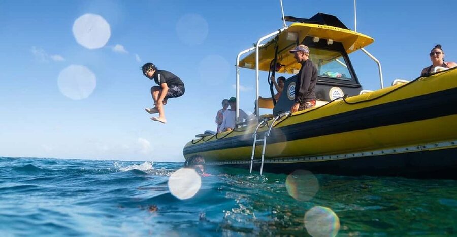Oahu: North Shore Snorkeling Tour from Haleiwa - How to fit it into a North Shore day