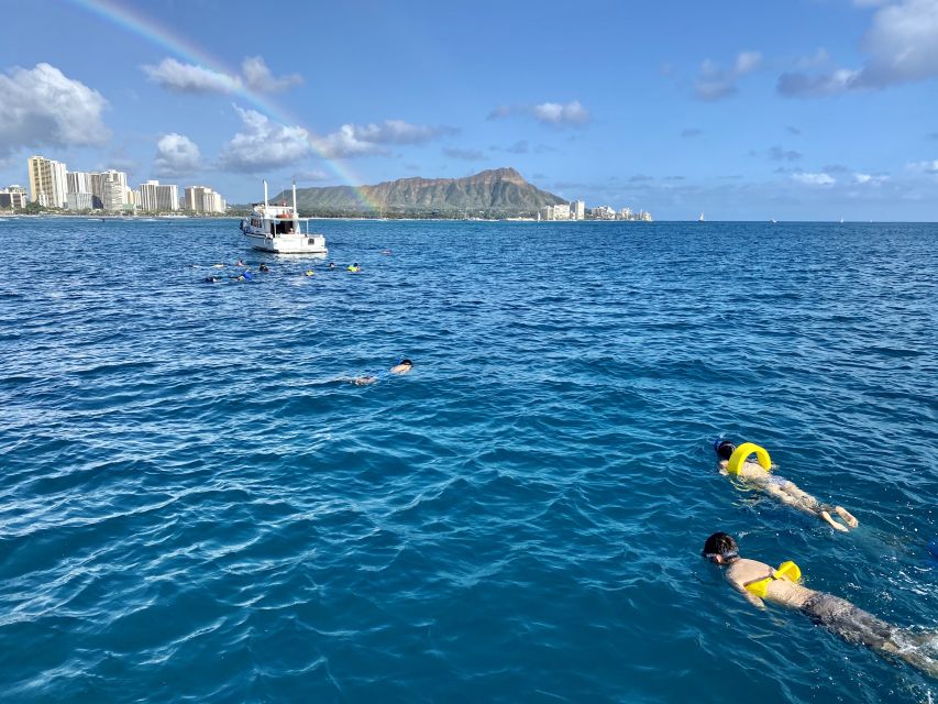 Oahu: Private Turtle Snorkeling with Customizable Itinerary - Meeting at Kewalo Basin Harbor