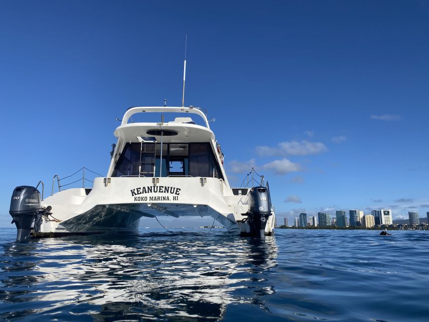 Oahu: Private Turtle Snorkeling with Customizable Itinerary - Diamond Head from the ocean