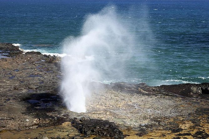Oahu's Ultimate Tour: Dole, Turtle Snorkel, Pali Lookout & More - Nuʻuanu Pali and the windward side