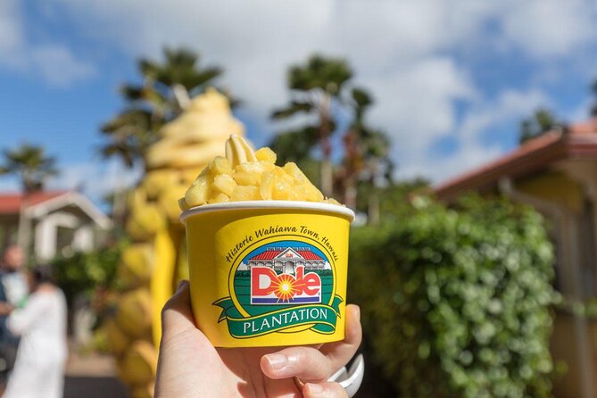 Oahu's Ultimate Tour: Dole, Turtle Snorkel, Pali Lookout & More - North Shore beaches, Haleiwa, and Mokoliʻi Island
