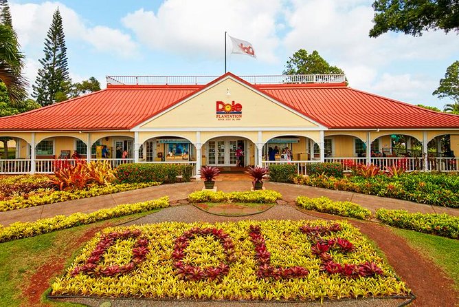 Oahu's Ultimate Tour: Dole, Turtle Snorkel, Pali Lookout & More - Dole Plantation and the final push back to Waikiki