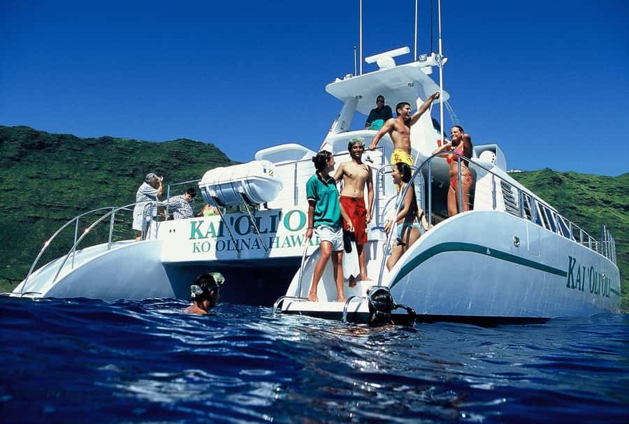 Oahu: Snorkeling & Dolphin Watch Cruise w/ Luau Style Buffet - Key Points To Know Before You Book
