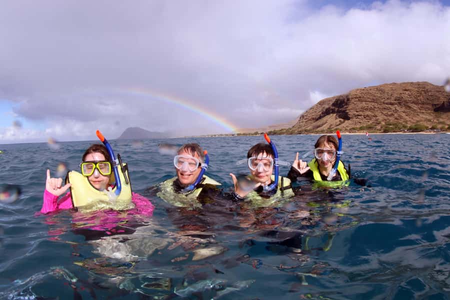 Oahu: Snorkeling & Dolphin Watch Cruise w/ Luau Style Buffet - The Snorkeling Stop and What You May See