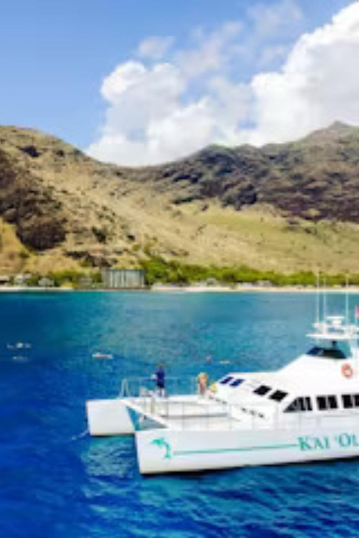 Oahu: Snorkeling & Dolphin Watch Cruise w/ Luau Style Buffet - A Hawaiian Buffet Served at Sea