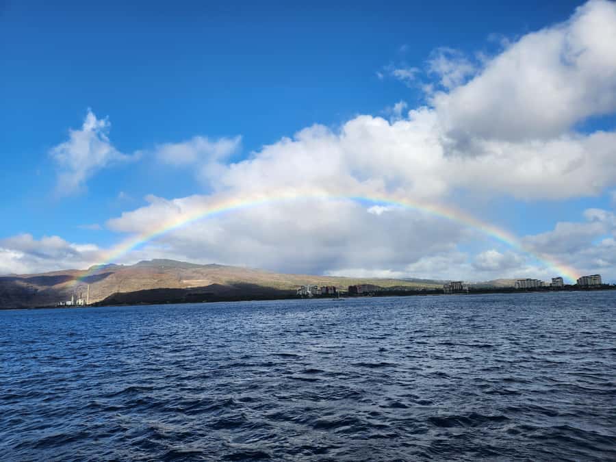 Oahu: Snorkeling & Dolphin Watch Cruise w/ Luau Style Buffet - Dolphin Watching With a Seasonal Whale Bonus