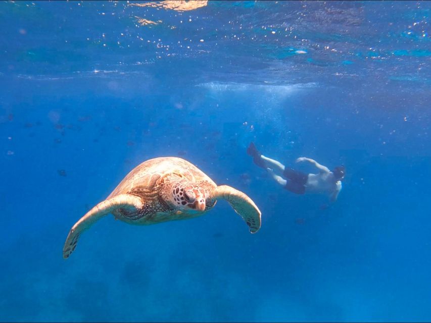 Oahu Snorkeling with Turtles, Water Scooter, Paddleboard - Paddleboarding in open water