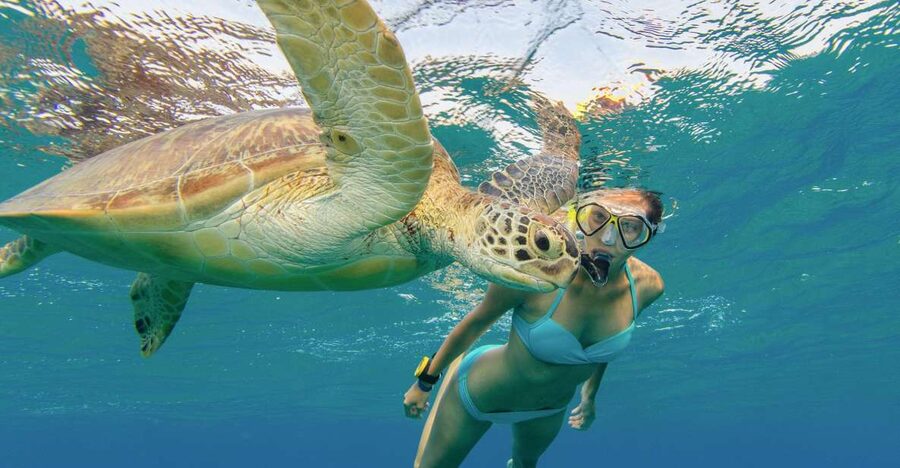 Oahu Snorkeling with Turtles, Water Scooter, Paddleboard - What the $120 price really buys