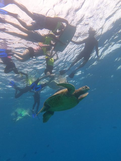 Oahu Snorkeling with Turtles, Water Scooter, Paddleboard - Practical details that can improve your day