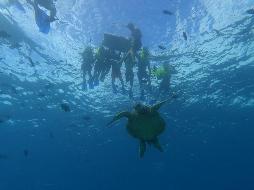 Oahu Snorkeling with Turtles, Water Scooter, Paddleboard - Reaching Turtle Canyon for the turtle encounter