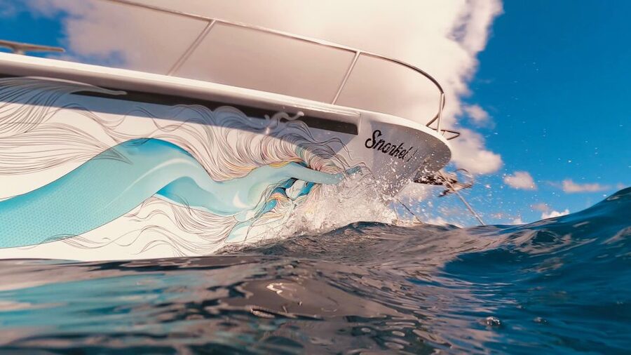 Oahu: Turtle Canyon Snorkeling Boat Tour - Should you book the Oahu Turtle Canyon boat tour?