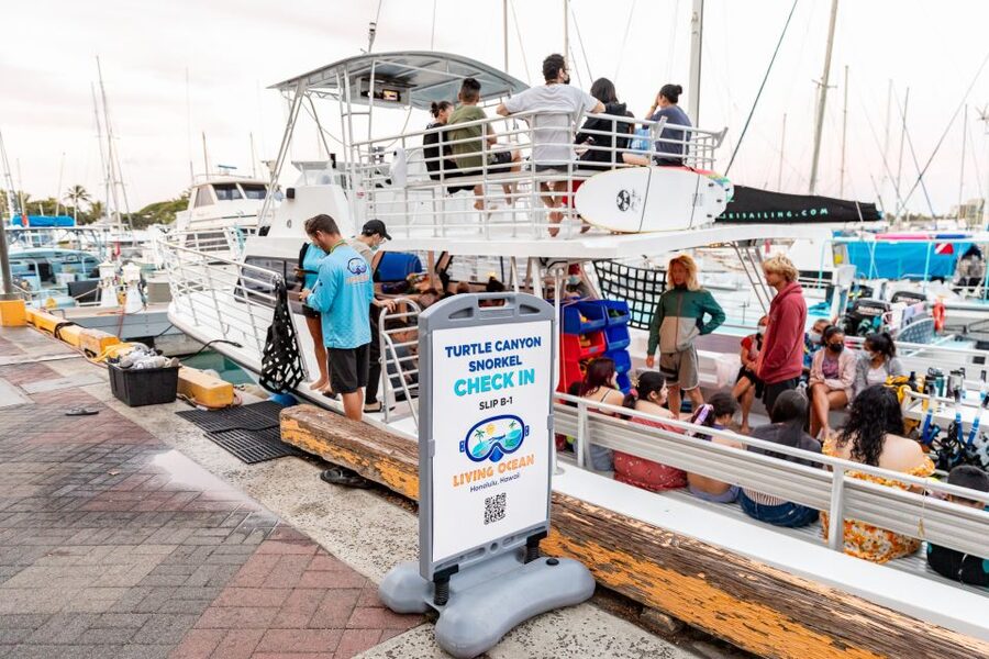 Oahu: Waikiki Turtle Canyons Cruise and Snorkel Excursion - Who should book this outing?
