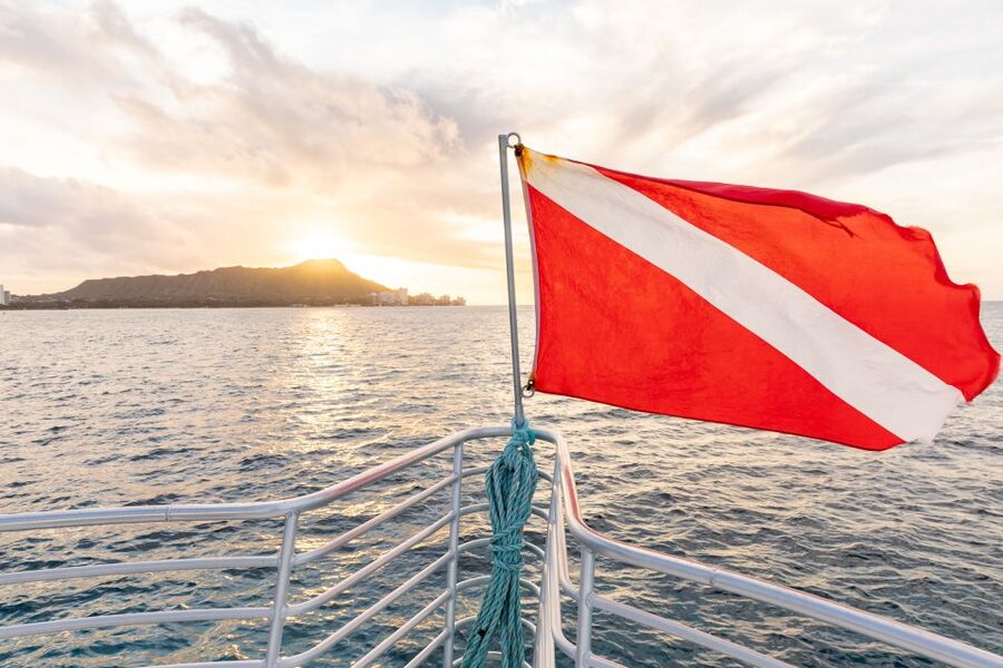 Oahu: Waikiki Turtle Canyons Cruise and Snorkel Excursion - Why Turtle Canyons works well for a Waikiki day