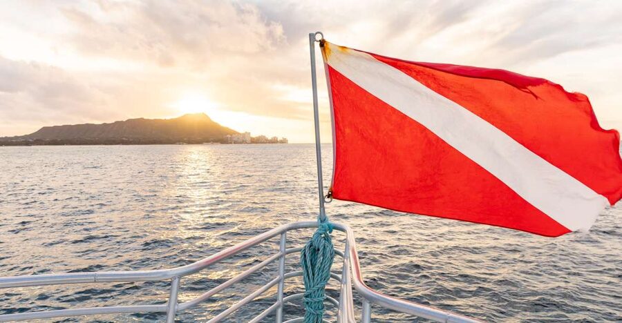 Oahu: Waikiki Turtle Canyons Cruise and Snorkel Excursion - A useful safety briefing for first-time snorkelers