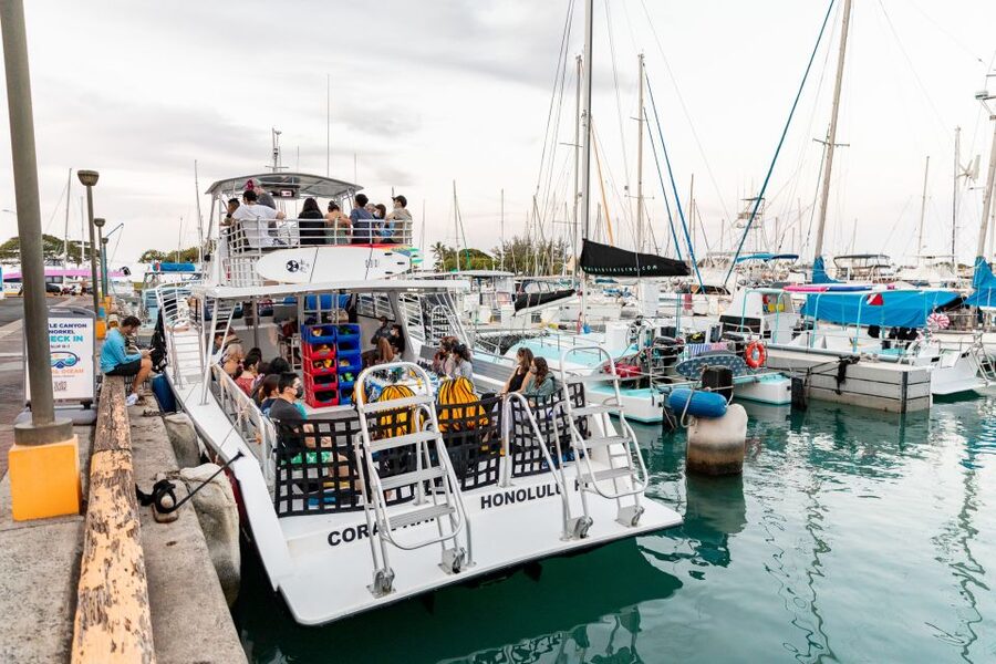 Oahu: Waikiki Turtle Canyons Cruise and Snorkel Excursion - What you see at Turtle Canyon
