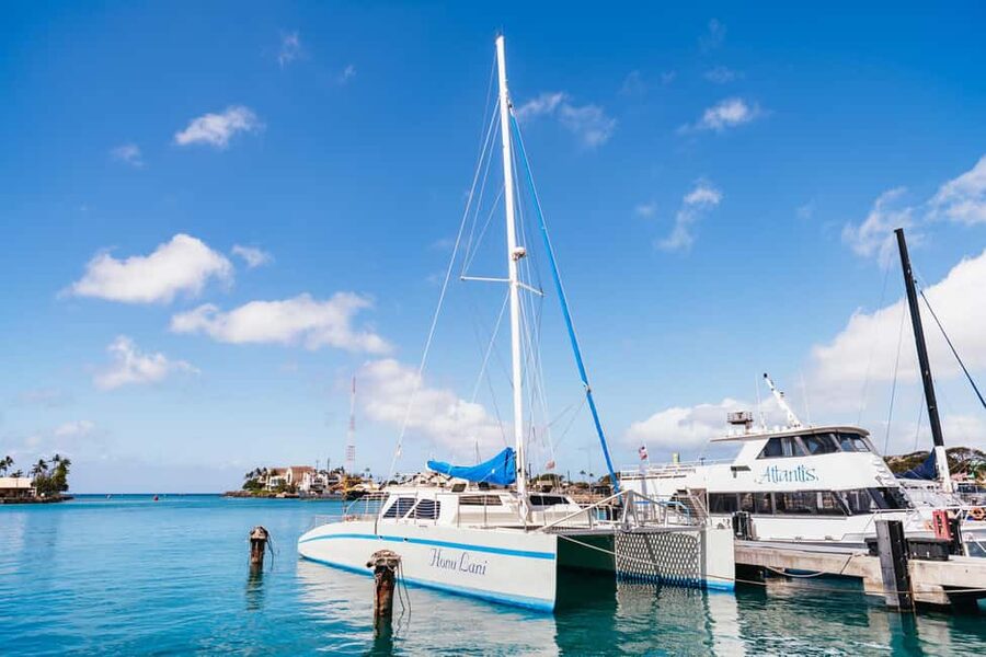 Oahu: Waikiki Turtle Snorkel Sail - A Good Introduction for First-Time Snorkelers