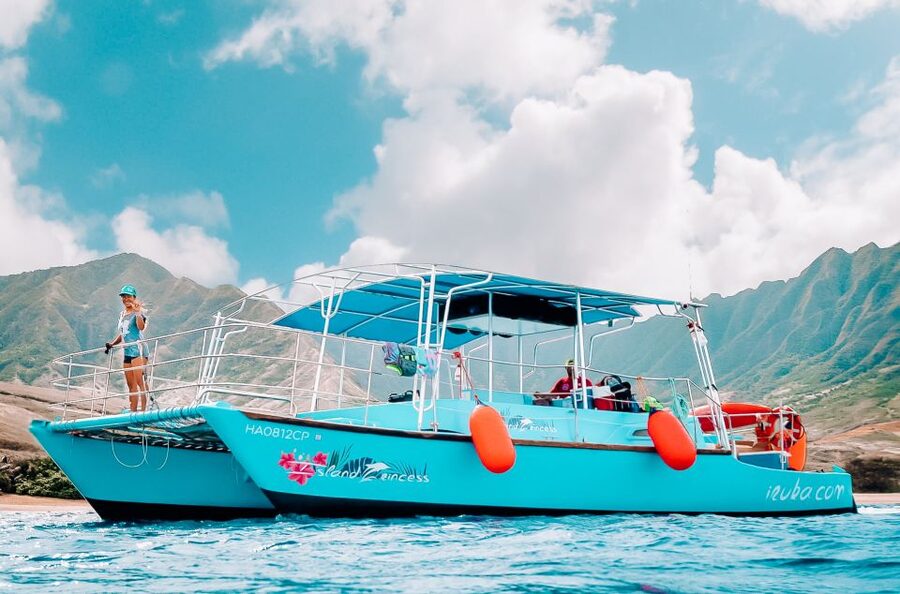 Oahu: Waikiki Turtle Snorkeling Adventure - Watching for dolphins and winter whales