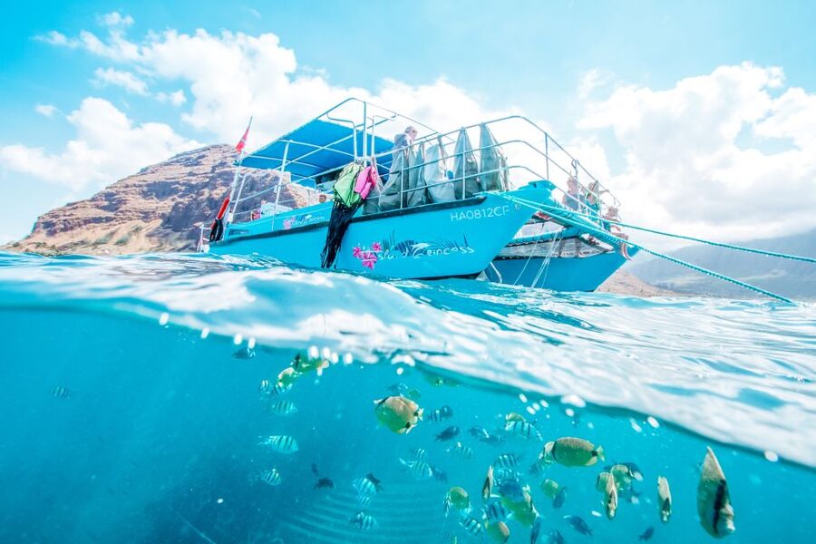 Oahu: Waikiki Turtle Snorkeling Adventure - Who will enjoy this cruise most