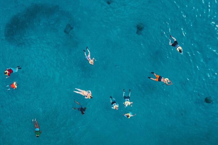 Oahu: Waikiki Turtle Snorkeling Adventure Cruise - Snorkeling above turtles and coral