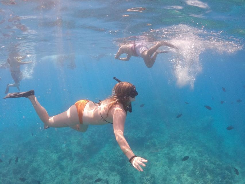 Oahu: Waikiki Turtle Snorkeling Adventure Cruise - Safety instructions before you swim