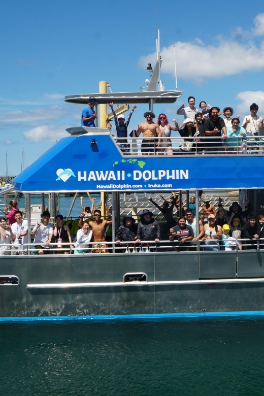 Oahu: Wild Dolphins Swim Turtle Snorkel Tour & Waterslide - Early pickups, cancellation, and useful packing advice