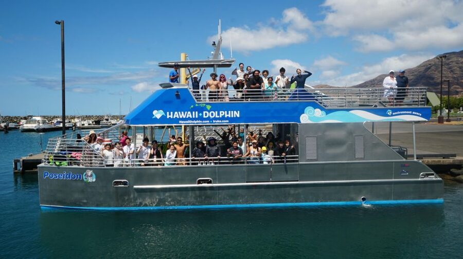 Oahu: Wild Dolphins Swim Turtle Snorkel Tour & Waterslide - Should you book the Iruka Hawaii Dolphin tour?
