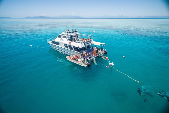 Ocean Freedom Great Barrier Reef Luxury Snorkel and Dive Cruise - Why This Reef Day Works So Well