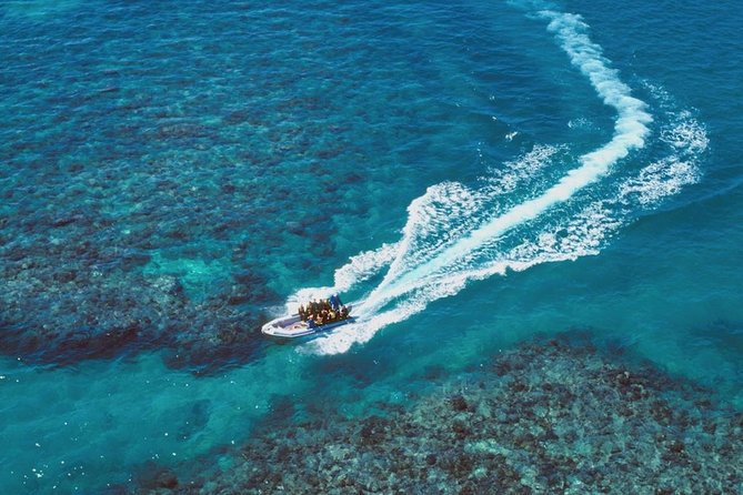 Ocean Freedom Great Barrier Reef Luxury Snorkel and Dive Cruise - Snorkeling Support for Beginners