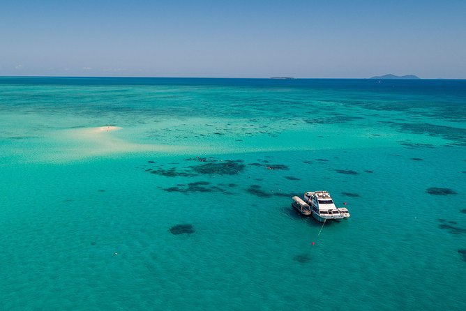 Ocean Freedom Great Barrier Reef Luxury Snorkel and Dive Cruise - Optional Scuba Sessions