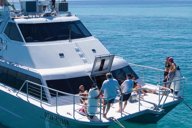 Ocean Freedom Great Barrier Reef Luxury Snorkel and Dive Cruise - Food, Seating, and the Rhythm of the Day