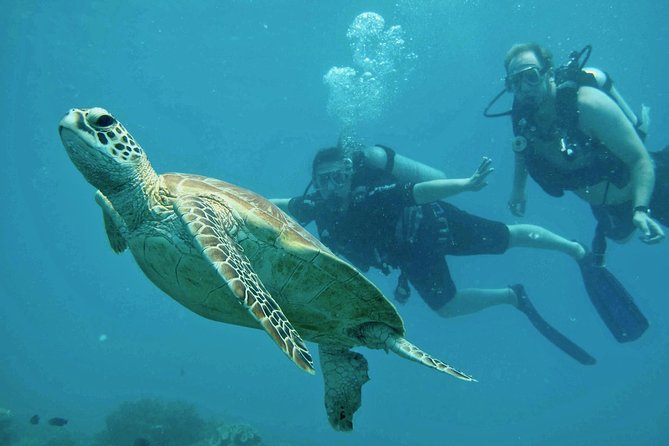 Ocean Freedom Great Barrier Reef Luxury Snorkel and Dive Cruise - How Crowded Does 75 People Feel?