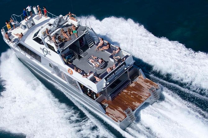 Ocean Freedom Great Barrier Reef Luxury Snorkel and Dive Cruise - From Cairns to Upolu Reef