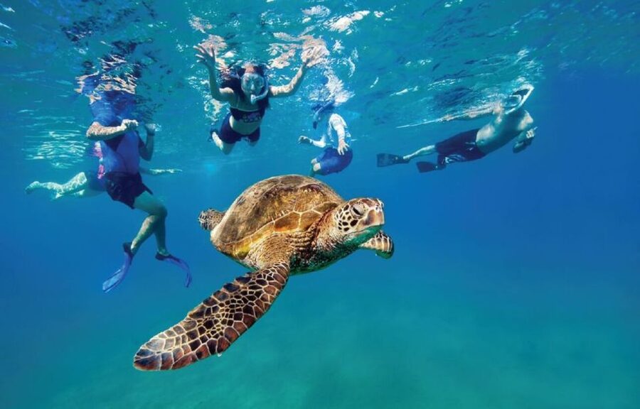 Ocean Reef Snorkeling and Paddleboarding - Paddling out from Dania Beach Pier
