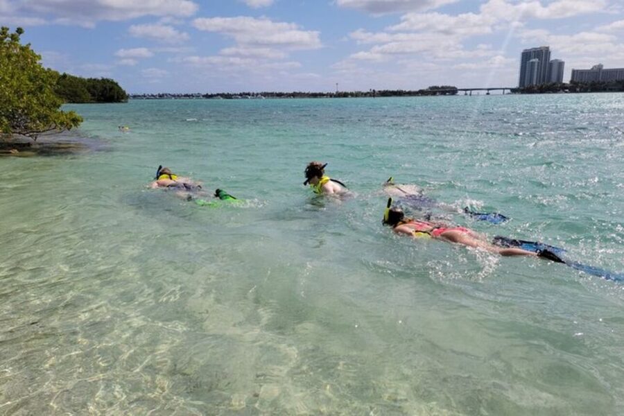 Ocean Reef Snorkeling and Paddleboarding - Is $99 a fair price?