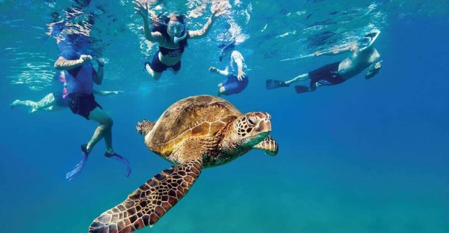 Ocean Reef Snorkeling and Paddleboarding - Snorkeling over natural and artificial reefs