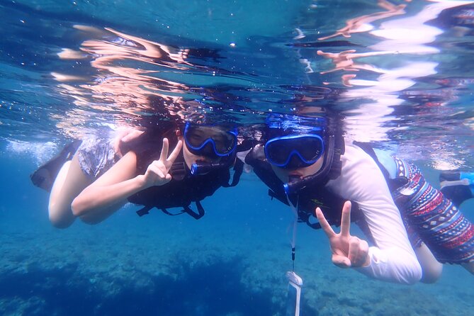 Okinawa Ishigaki Blue Cave Snorkeling Tour - Who should book this Ishigaki tour?