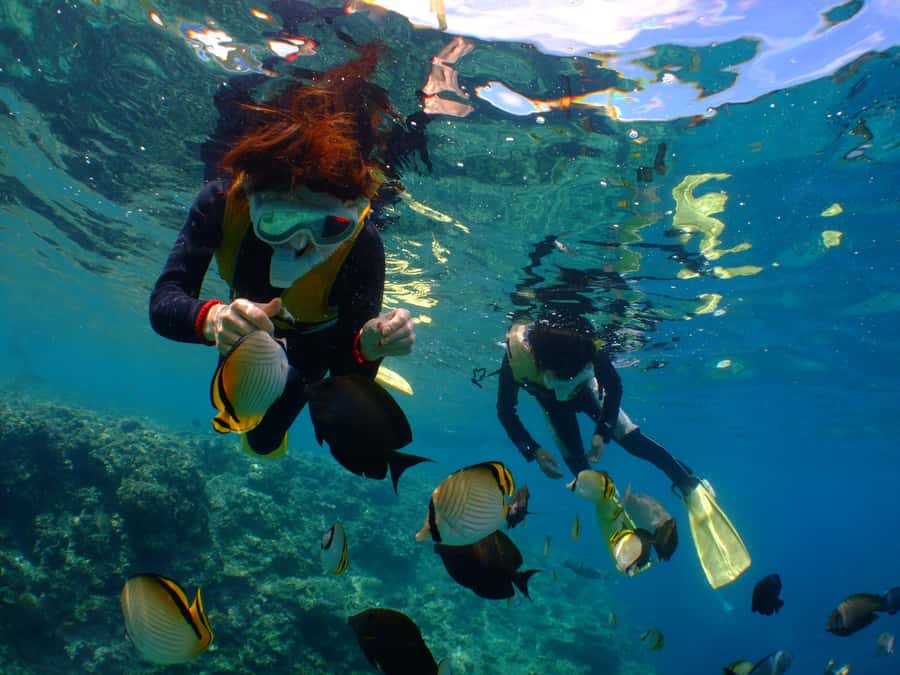 Okinawa : Kerama Whole Day Snorkeling Tour From Chatan/Naha - The Optional Introductory Underwater Session