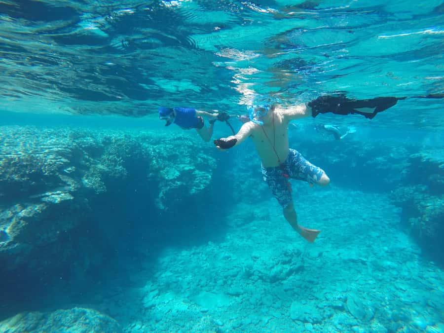 Okinawa : Kerama Whole Day Snorkeling Tour From Chatan/Naha - Who Will Enjoy This Full-Day Boat Trip