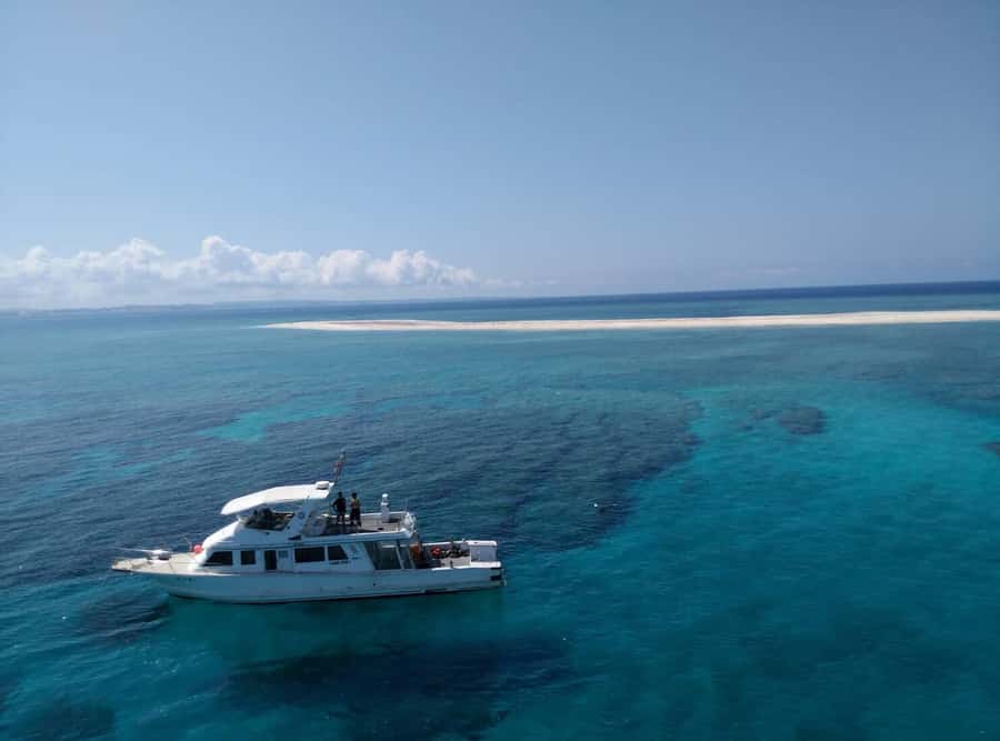 Okinawa : Kerama Whole Day Snorkeling Tour From Chatan/Naha - Coral, Turtles, and the Value of Clear Water