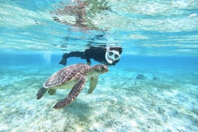 Okinawa Miyako Beach SUP or Canoe and sea turtle Snorkeling