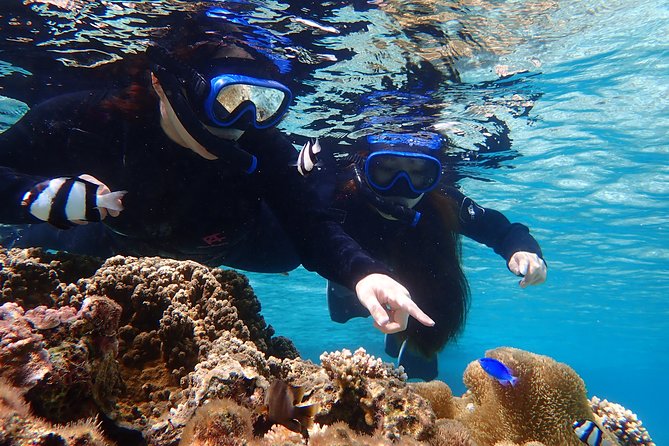 Okinawa Miyako Beach SUP or Canoe and sea turtle Snorkeling - Value at $89.17 per person