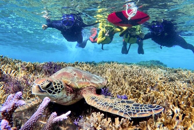 Okinawa Miyako Beach SUP or Canoe and sea turtle Snorkeling - Meeting points, changing, and daily comfort