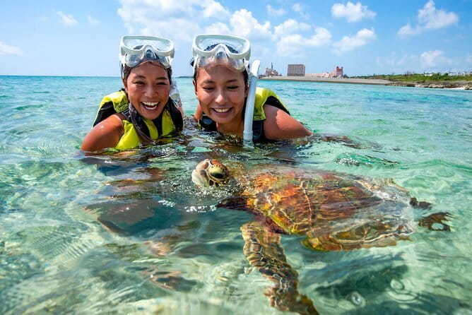 Okinawa Miyako Sea turtle Snorkeling Free Pick up and Drop off - Who will get the most from this tour