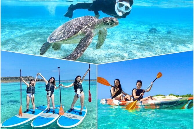 Okinawa Miyako Sea turtle Snorkeling Free Pick up and Drop off - Is $45.59 a fair price?