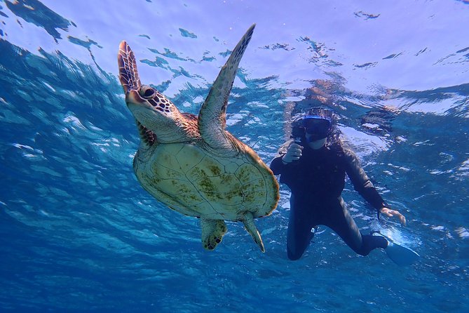 Okinawa Miyakojima 1 day Sea Turtle Snorkeling & Pumpkin Cave & Sea Kayak - How much value does the price offer?